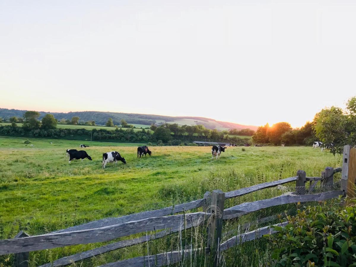 The Cow Hide Bed & Breakfast Arundel Exterior photo